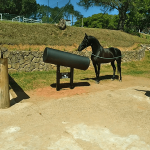 Manequim coletor de sêmen equino