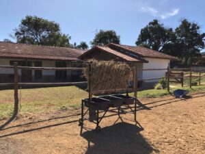 Feneira com cocho para sal e ração