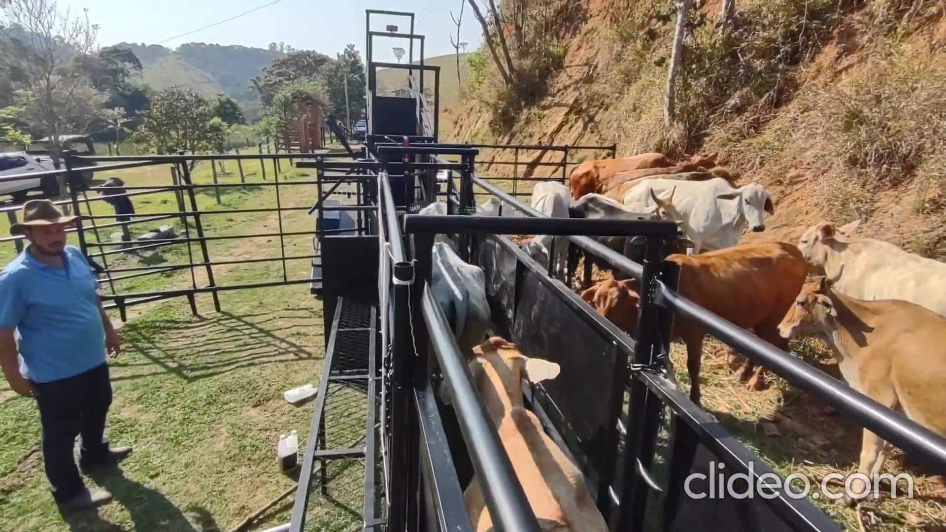 curral bovino de aço móvel: